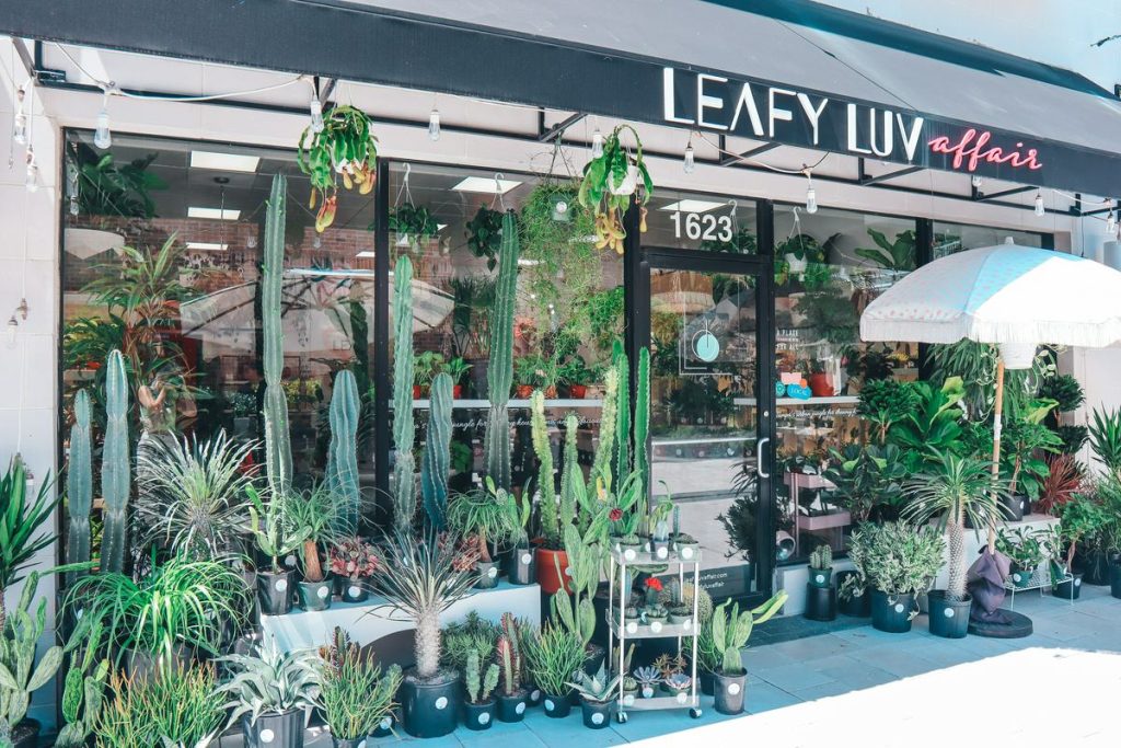 Leafy Luv Affair Tampa