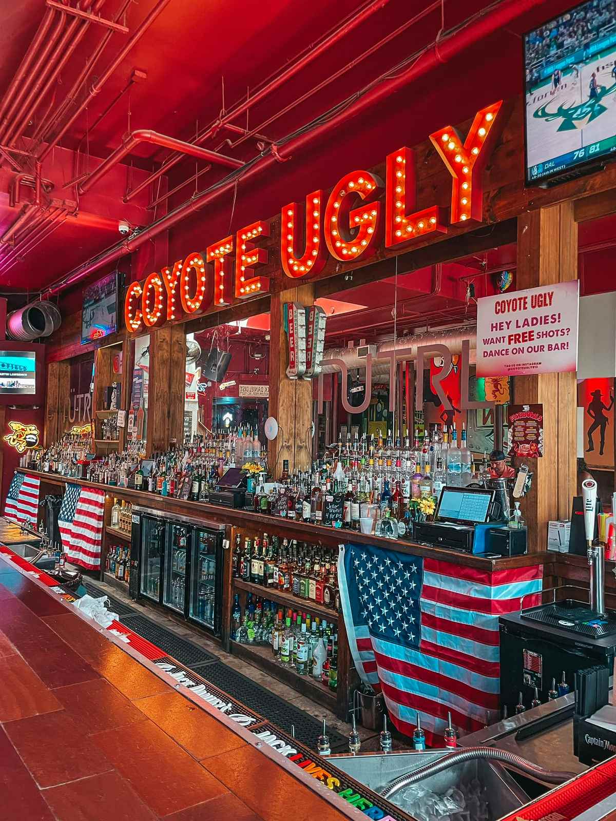 25+ Fun Things to Do in Tampa, Florida 2024
