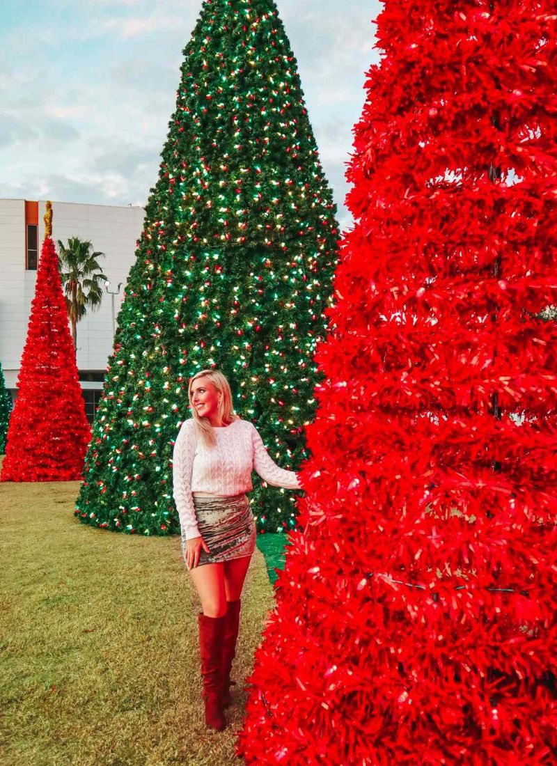 8 Stunning Places to See Christmas Lights in Tampa