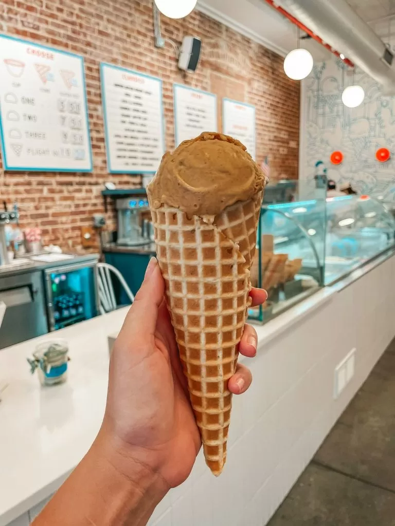 Chill Bros best Tampa ice cream scoop