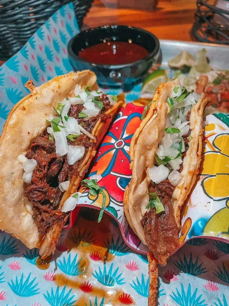 JoToro Birria Tacos