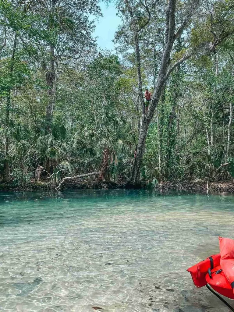 Weeki Wachee River