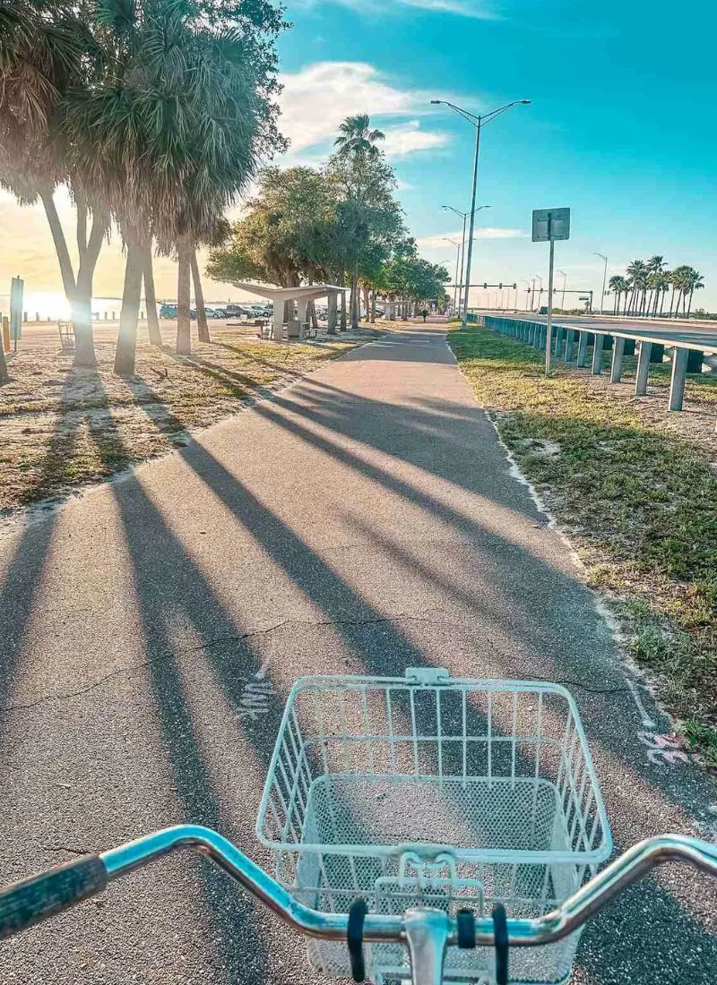 6 Bike Trails in Tampa You Should Explore